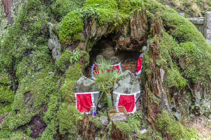 195 - Koyasan - cementerio de Okunoin